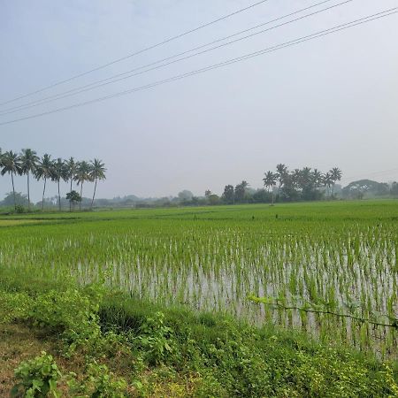 Tanjore Home Stay Thanjavur ภายนอก รูปภาพ