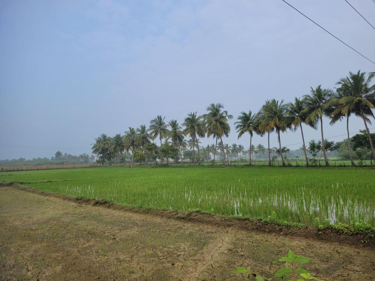 Tanjore Home Stay Thanjavur ภายนอก รูปภาพ