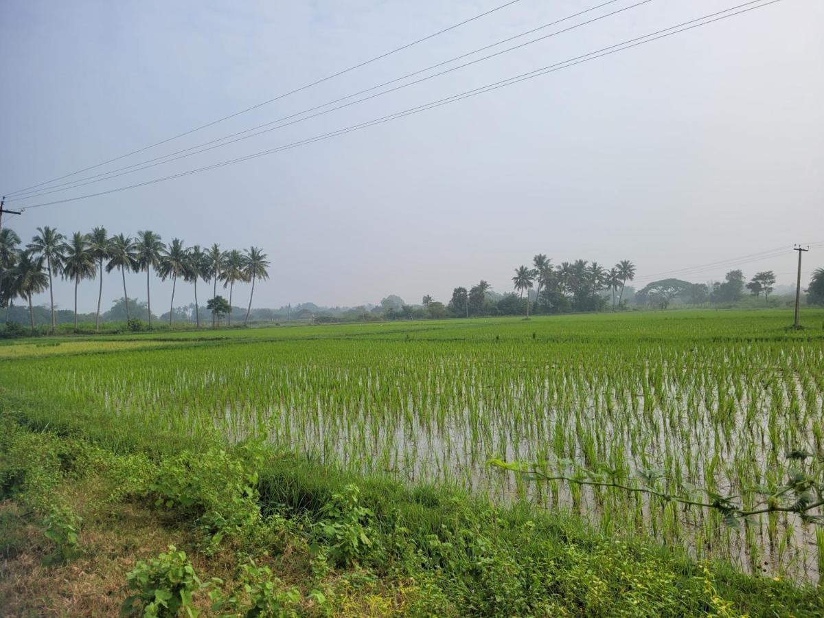 Tanjore Home Stay Thanjavur ภายนอก รูปภาพ