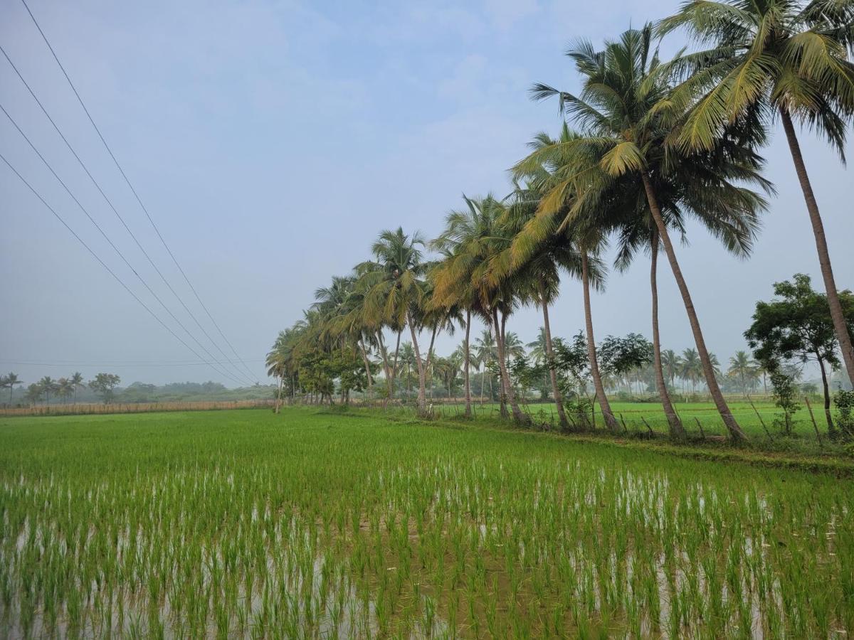Tanjore Home Stay Thanjavur ภายนอก รูปภาพ