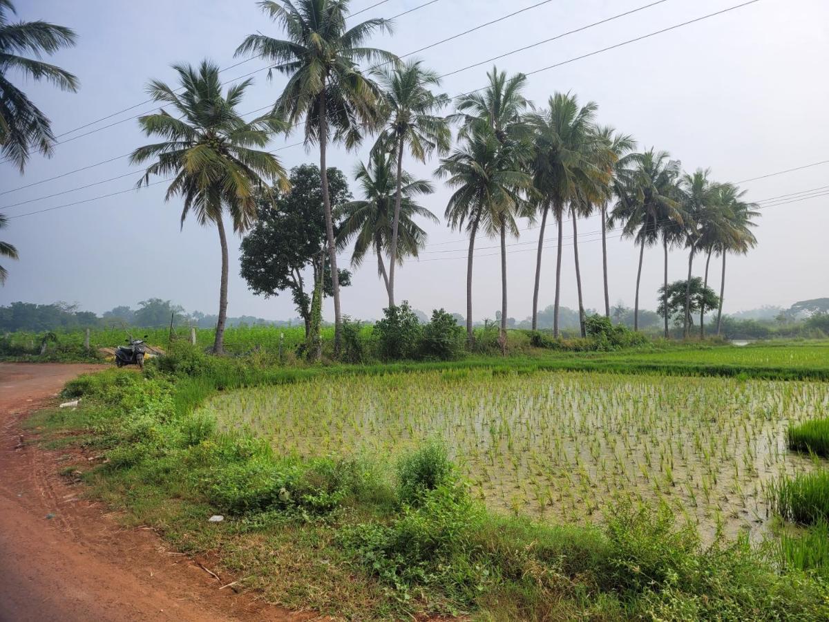 Tanjore Home Stay Thanjavur ภายนอก รูปภาพ