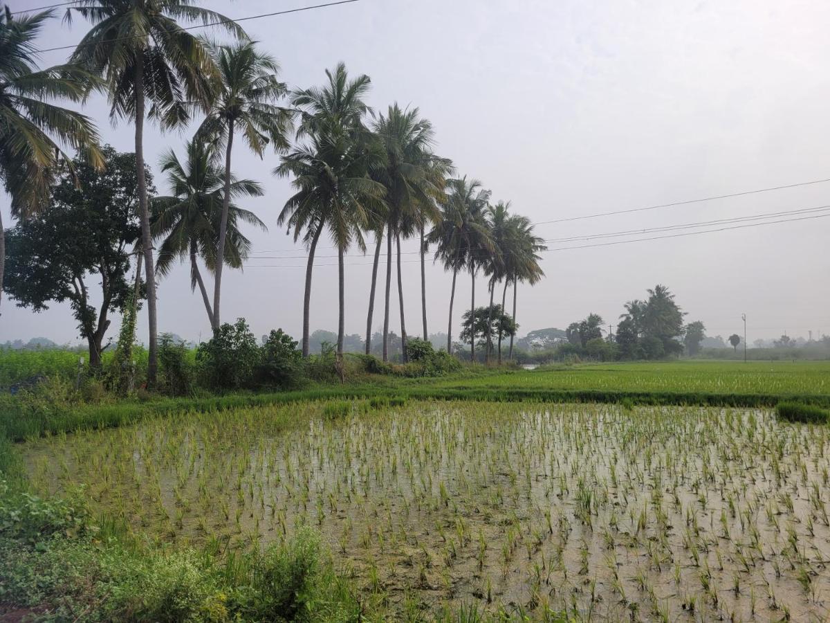 Tanjore Home Stay Thanjavur ภายนอก รูปภาพ