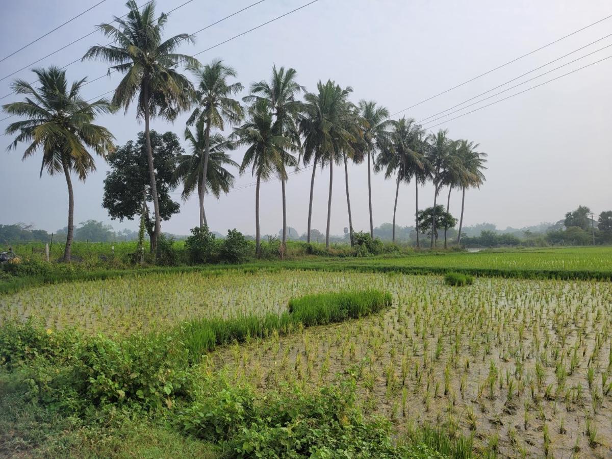 Tanjore Home Stay Thanjavur ภายนอก รูปภาพ