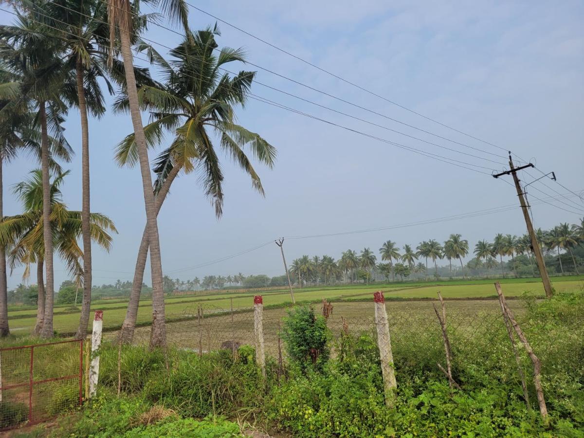 Tanjore Home Stay Thanjavur ภายนอก รูปภาพ