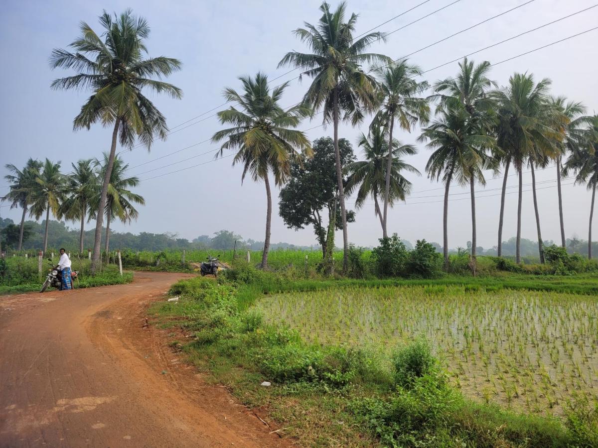 Tanjore Home Stay Thanjavur ภายนอก รูปภาพ